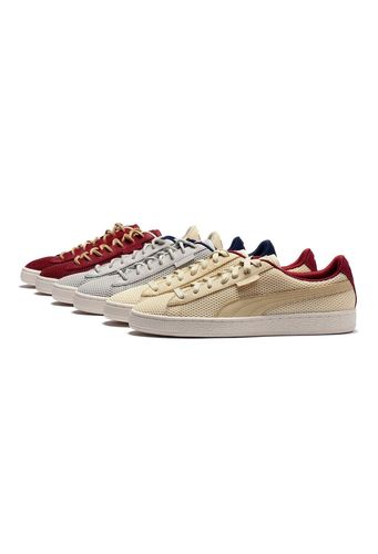 small_051615_PUMA_Cover_Image_